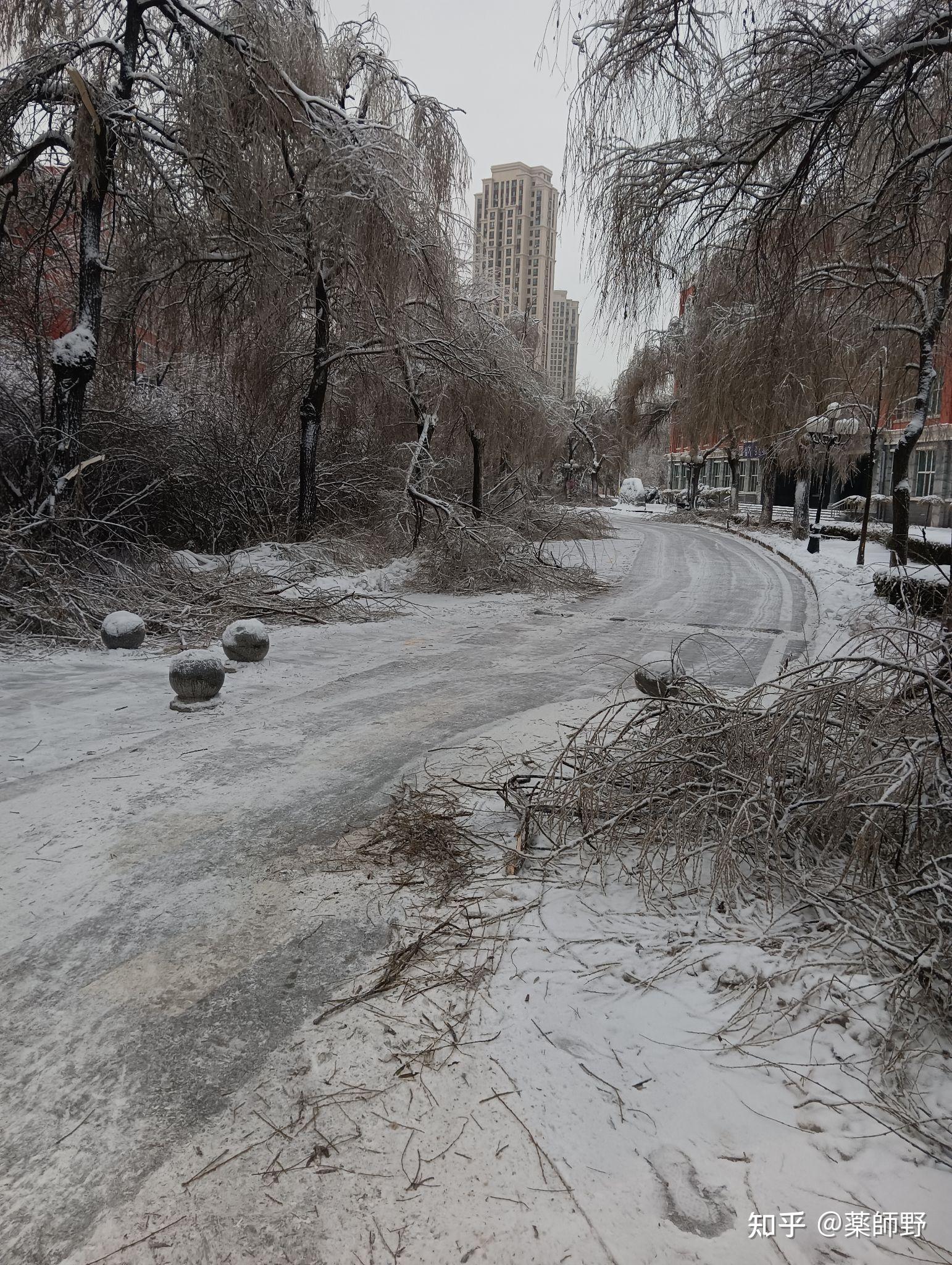 哈尔滨下雪啦你镜头下夜幕下的哈尔滨有多绝美