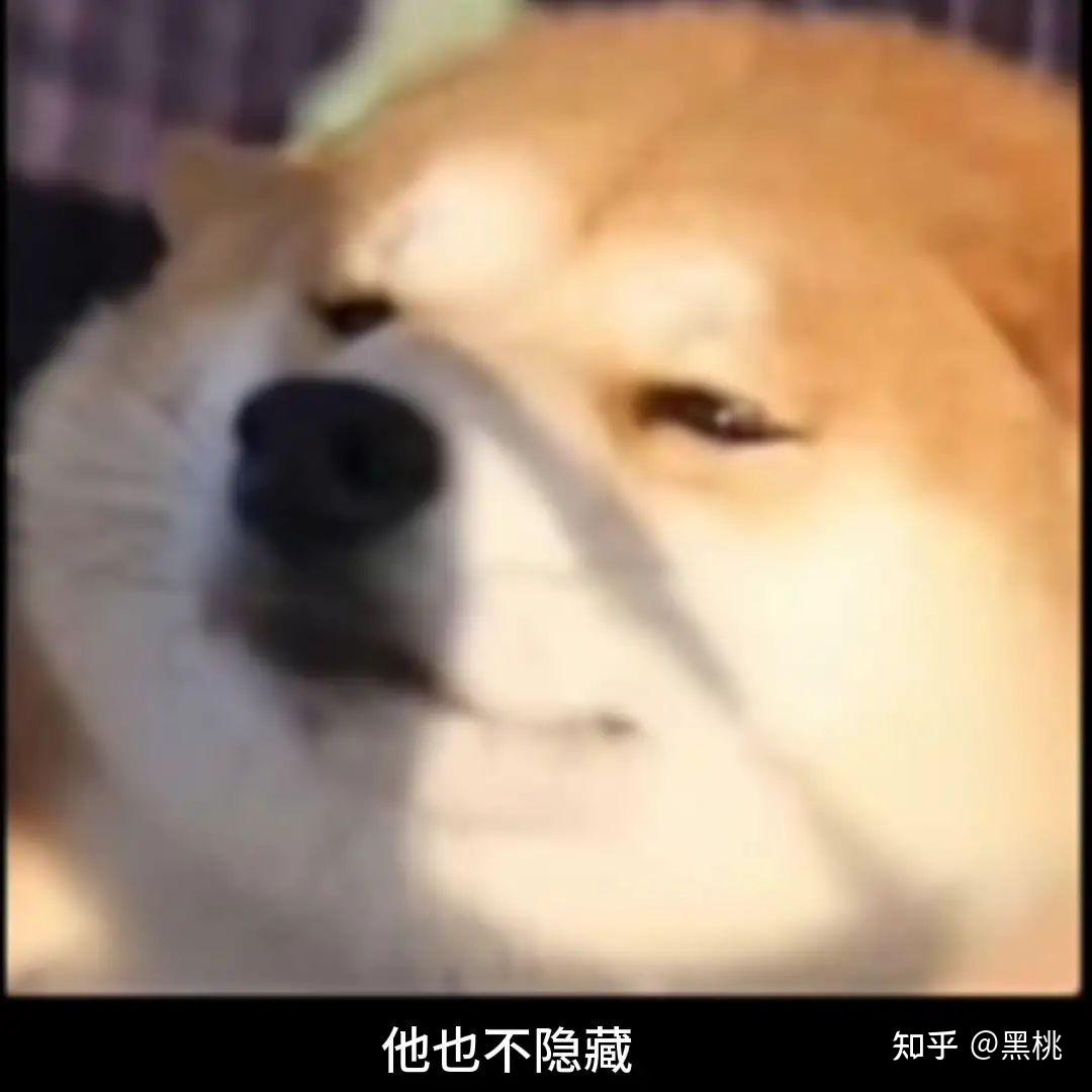 舔狗到底有多么卑微? - 知乎