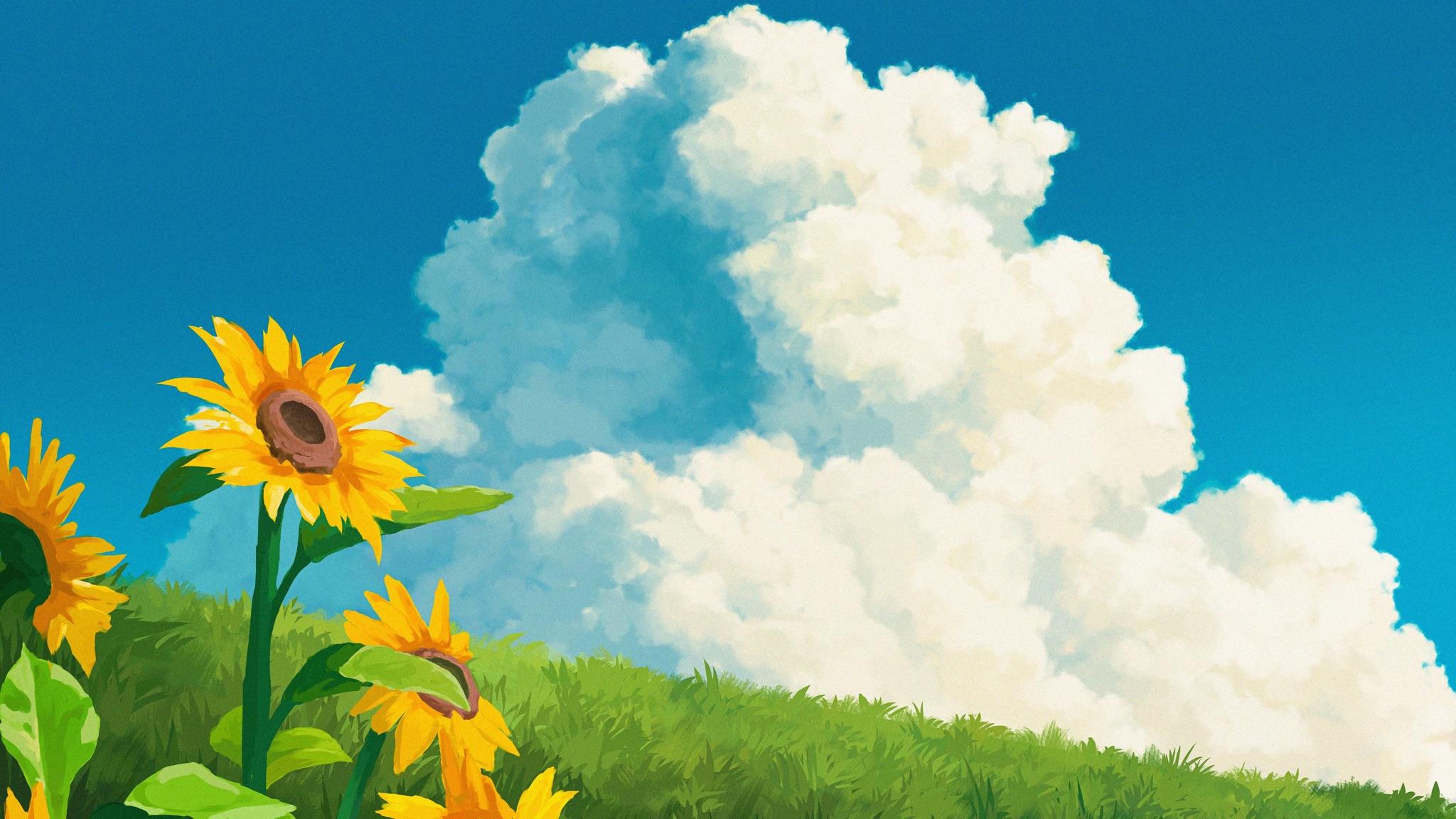 ipad有专用壁纸吗? - 知乎