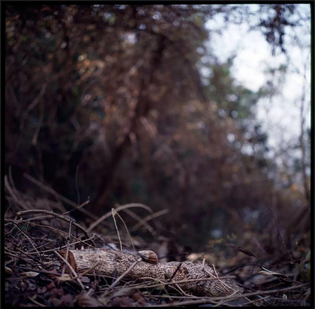 如何评价郑中基的摄影水平?-郑中基的摄影