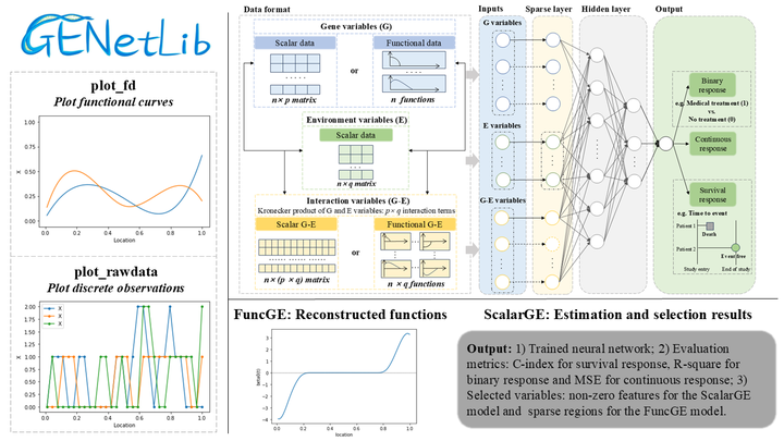 Python Geneview GENetLib:基于深度学习和FDA的基因-环境交互分析Python库 - 知乎