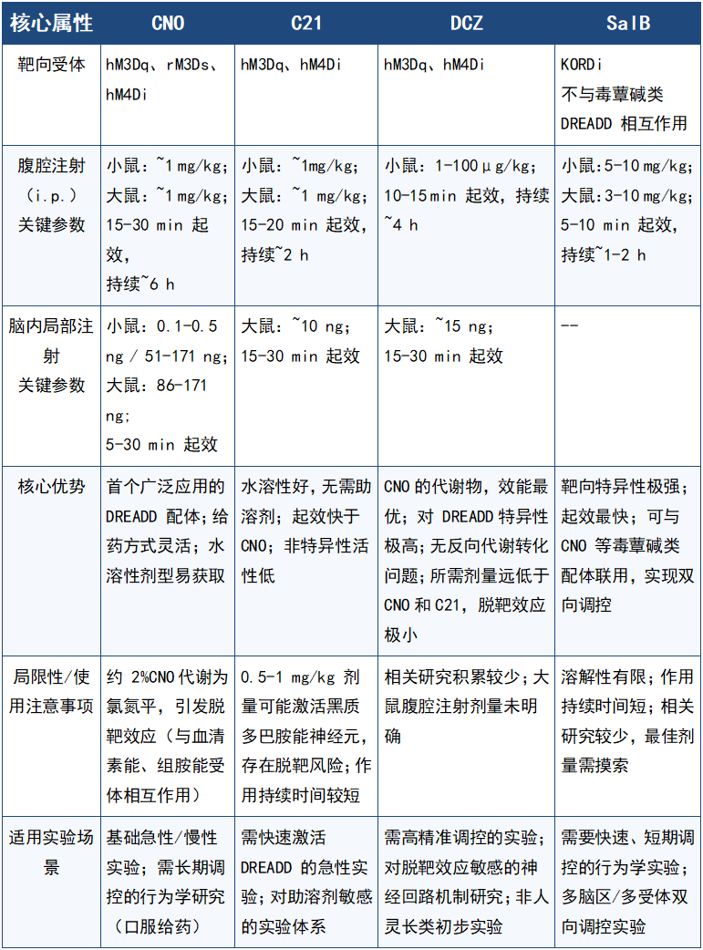 小布Tips | 3分钟读懂化学遗传，精准拿捏神经元 “开关” - 知乎