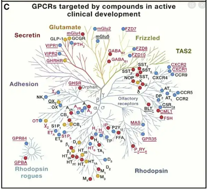 GPCR结构解析对药物发现的影响 - 知乎