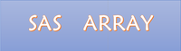 SAS ARRAY - 知乎