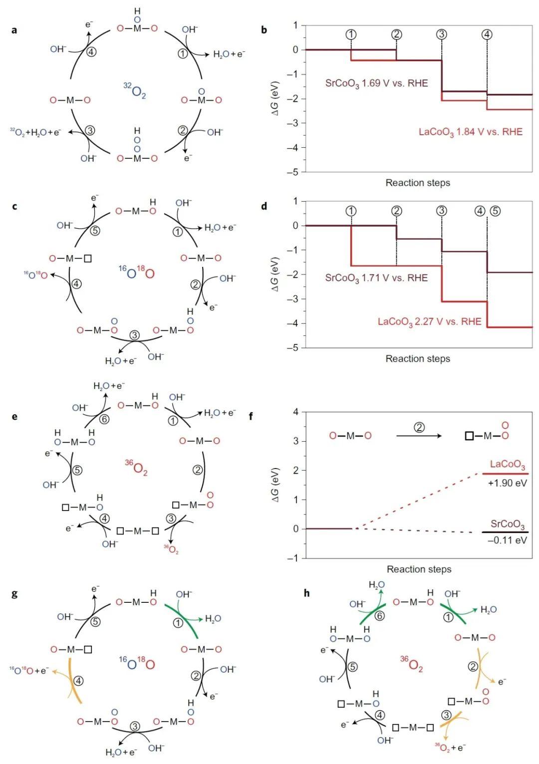 Nature Chemistry研究论文|麻省理工学院邵阳教授团队：激活金属氧化物中的晶格氧氧化还原反应以催化析氧反应 - 知乎