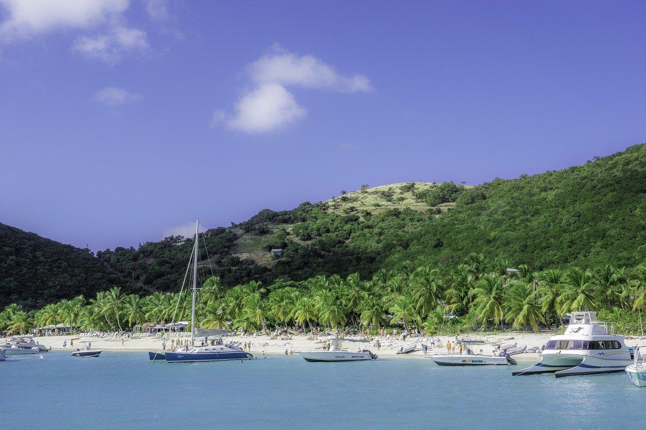 3. 绿意环绕生态家