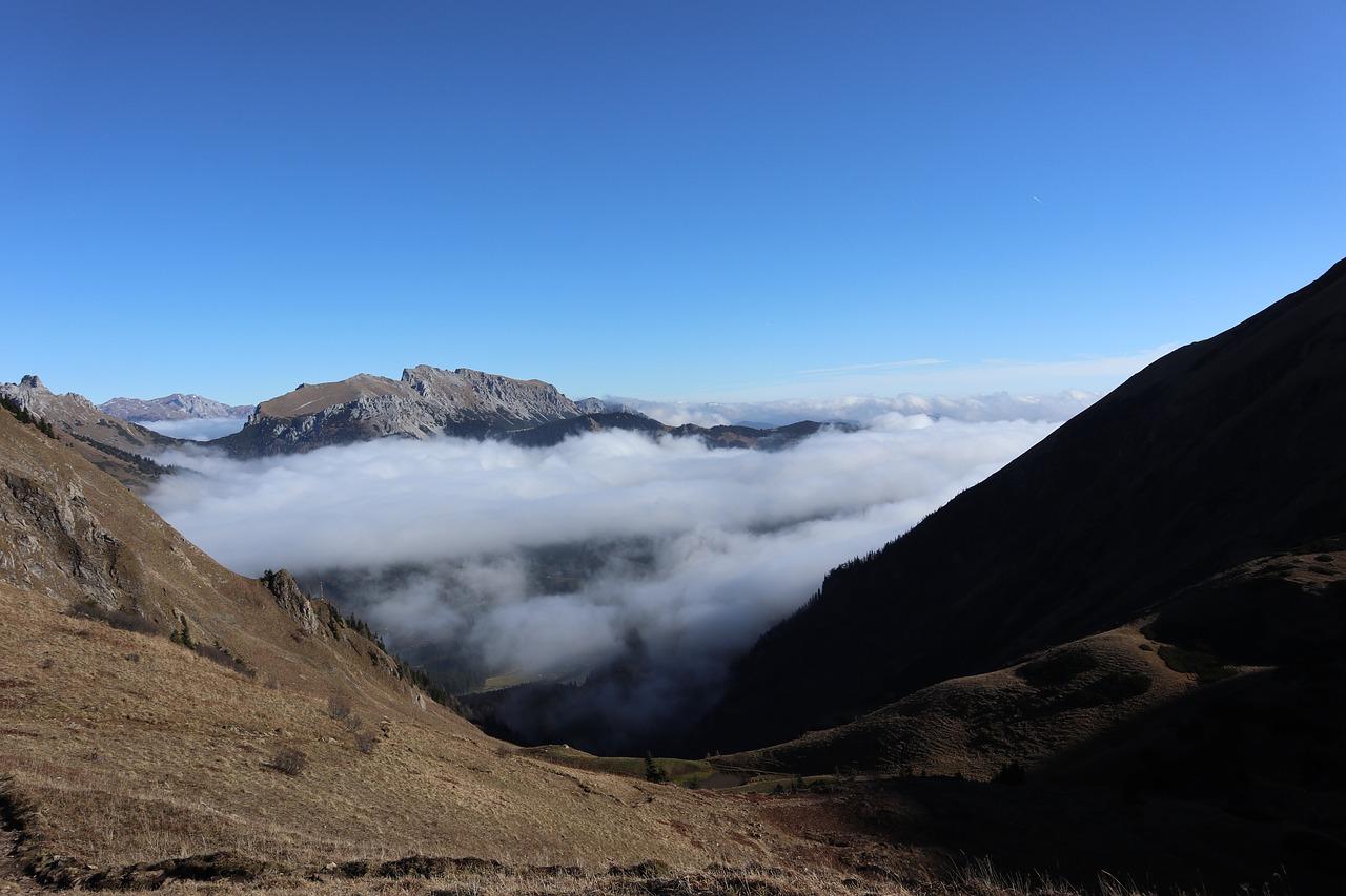 2. 奇峰宿舍导航