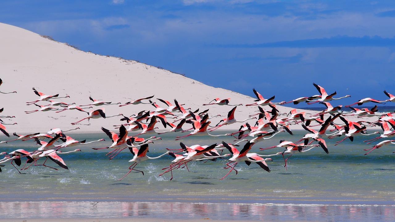 4. 湖泊水资源量