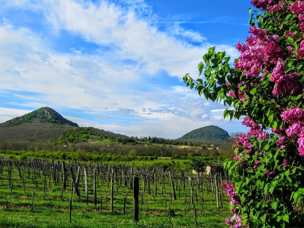 3. 梨山人口统计