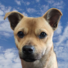 user-profile-image