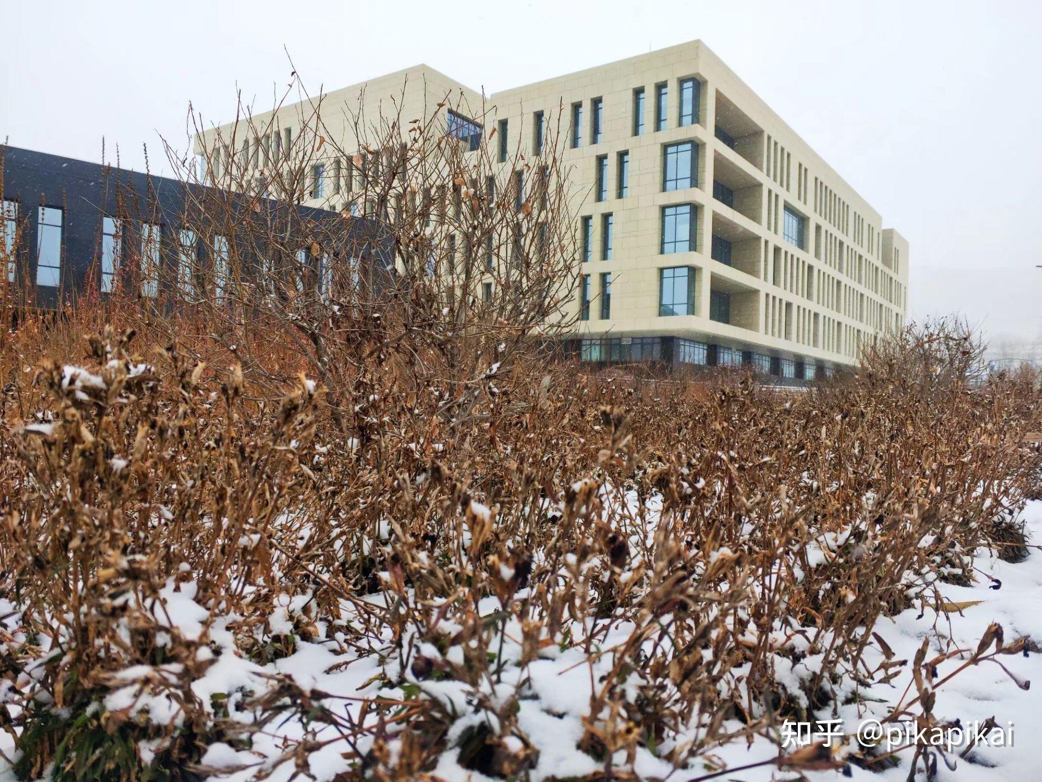 青海大学昆仑学院如何? - 知乎