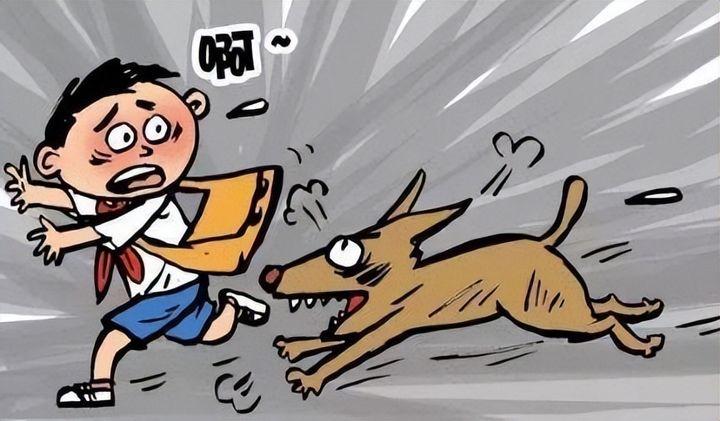 恶狗又伤人少年被狗狂咬头部进icu狗主只赔2万网友纷纷谴责