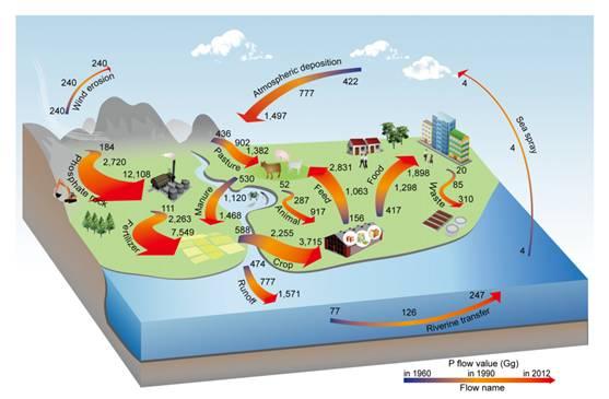中国历史上的磷循环16002012年