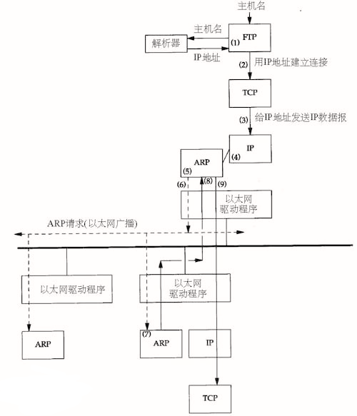 Linux arp 