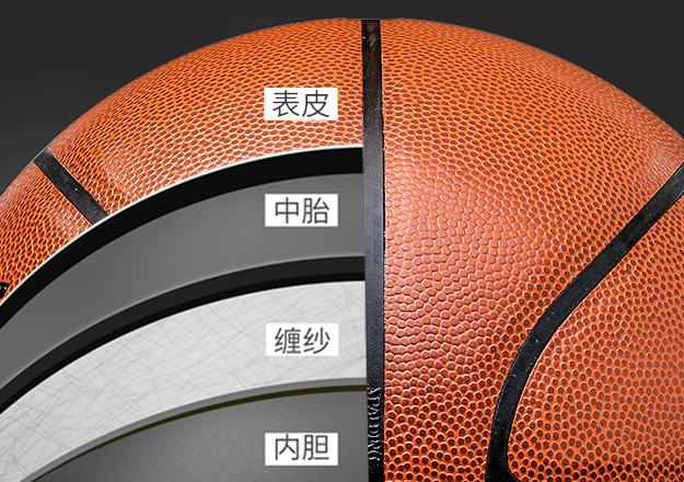 篮球的内部构造结构是怎样的