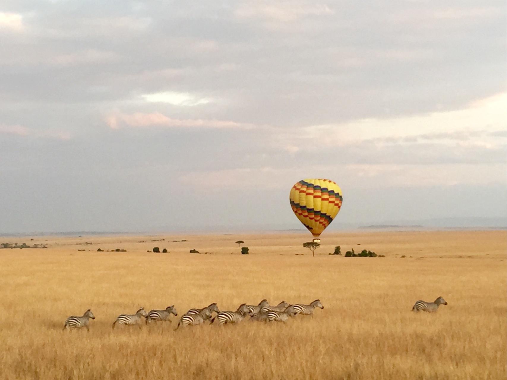 去肯尼亚旅行是一种什么体验?