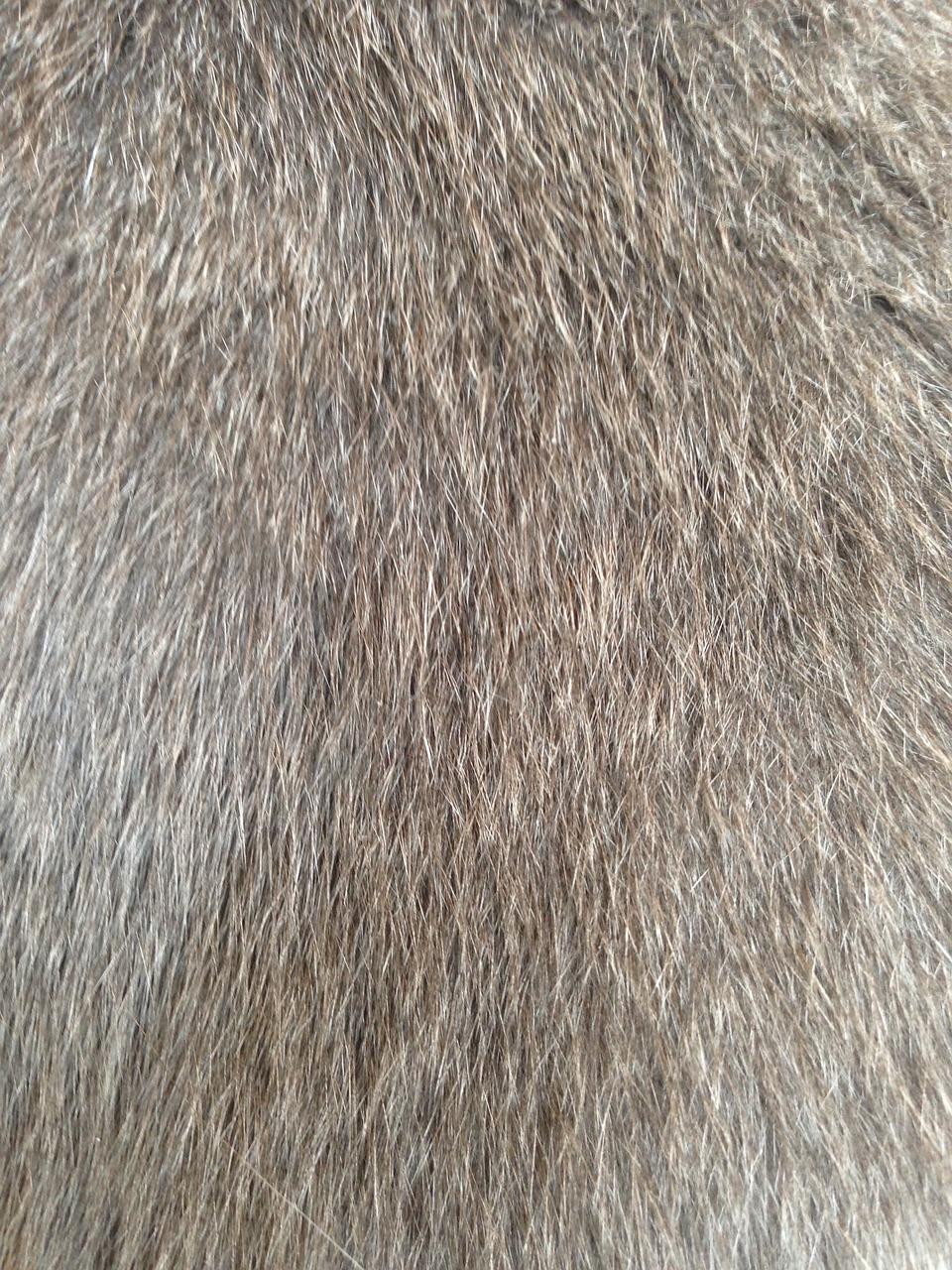 羊毛车垫灰尘如何清洗