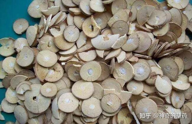 中药材:桑枝 - 知乎
