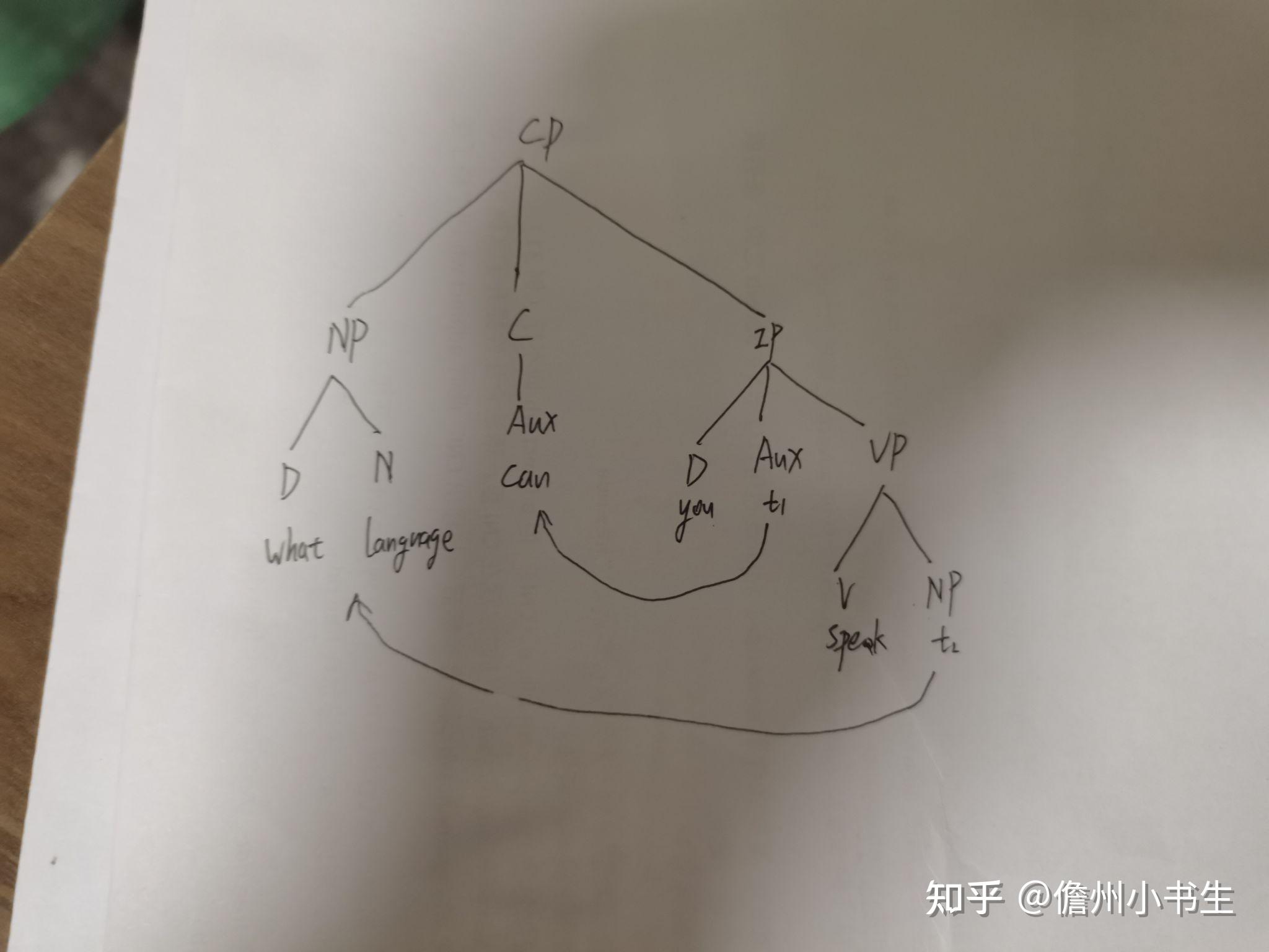 语言学的树形图怎么画图片