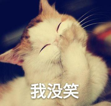 笑点低用英语怎么说从零开始学英语