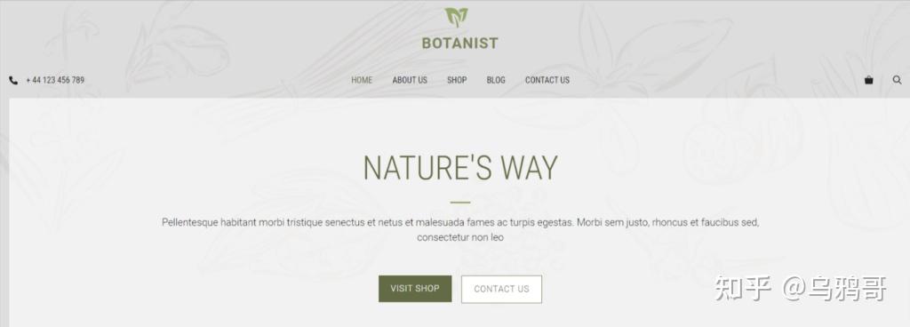 有哪些好看的极简的WordPress主题?插图7 有哪些好看的极简的WordPress主题?插图7