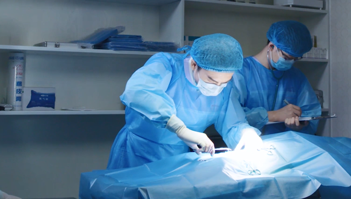 procaine powder procaine powder