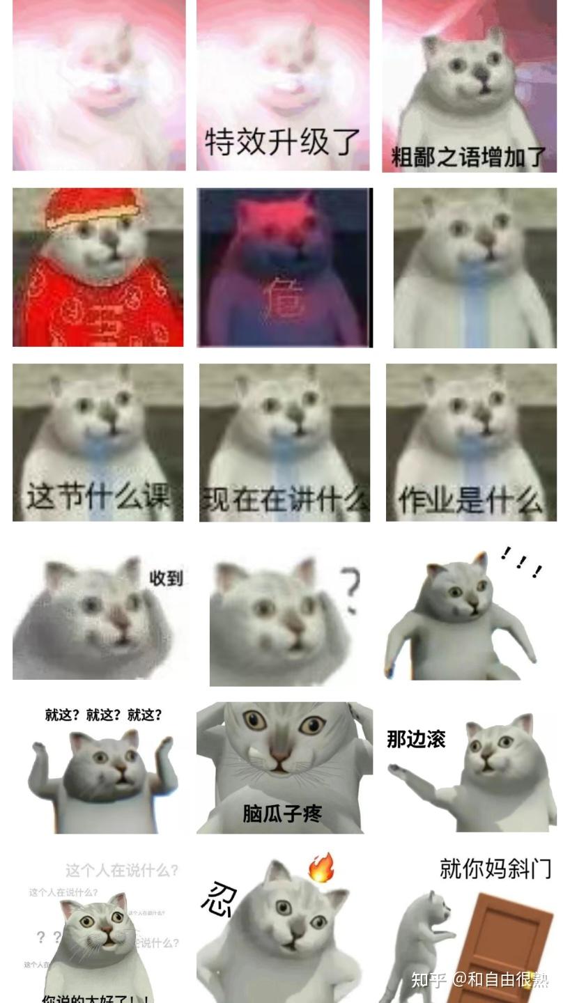 Mur猫跳舞表情包合集～ - 知乎