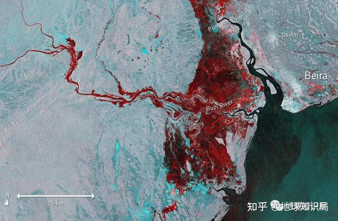 非洲真的缺粮食吗?