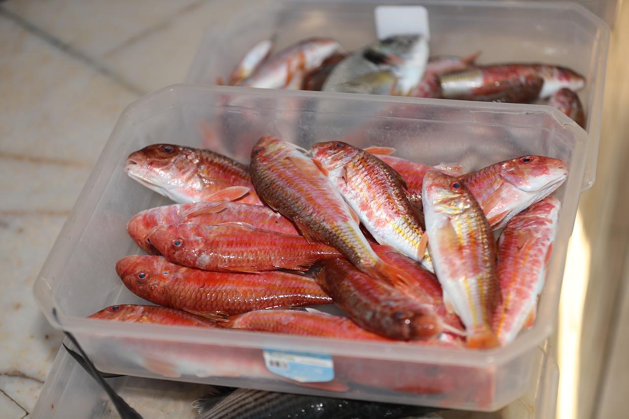 2. 水生植物喂食法