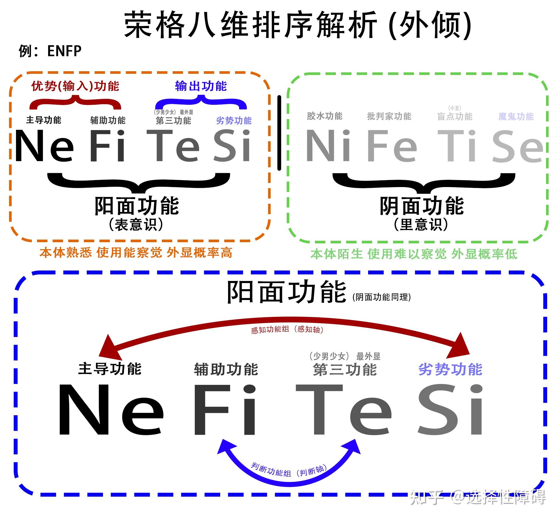 容格八维图片