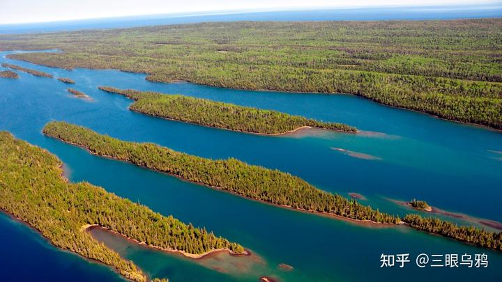 如果将 20 只狼和 500 只鹿放进同一孤岛，最后谁能活下来？