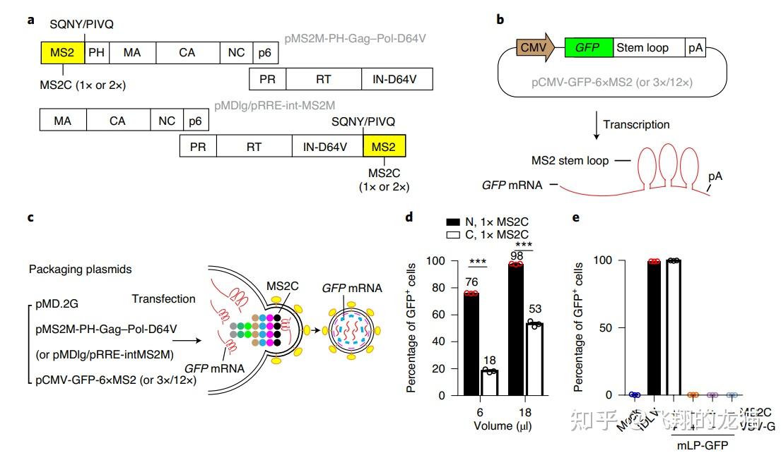 斯微生物LPP递送平台的技术优势？ - 知乎