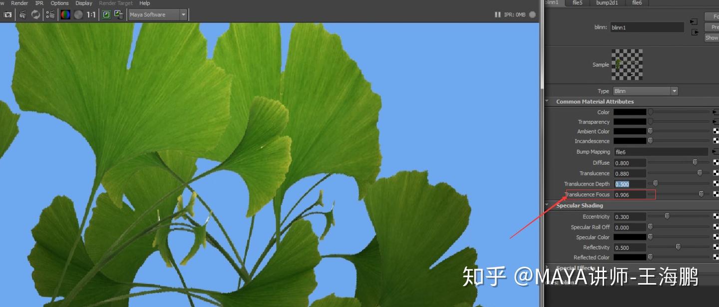 树叶透明贴图的制作原理及渲染！ - 知乎