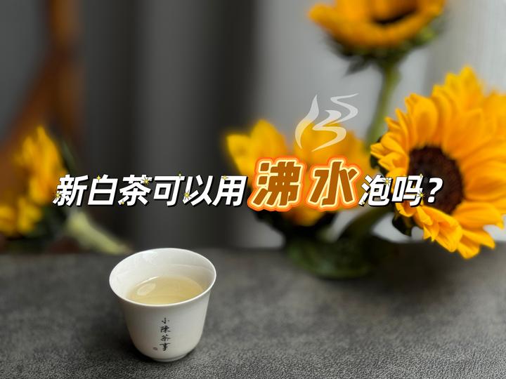 冲泡新白茶,最佳水温是多少度?听老茶客说完,你就明白了 - 知乎