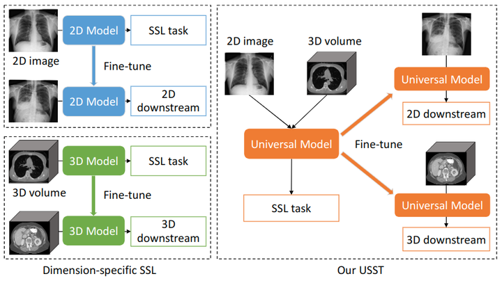 自监督框架USST：统一2D和3D预训练医学图像分类/分割框架- 知乎
