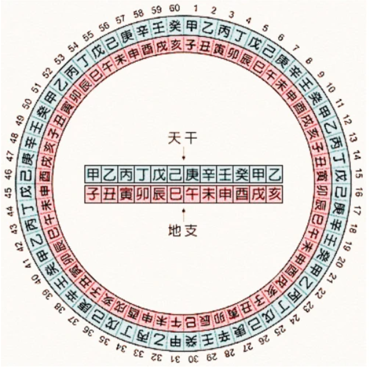 十天干、十二地支与五行 、六十甲子基本知识 - 知乎
