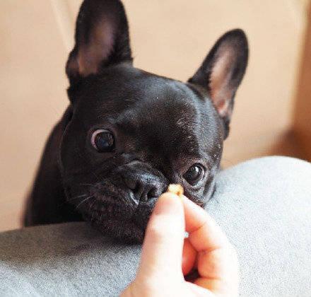 狼人杀李锦实力如何