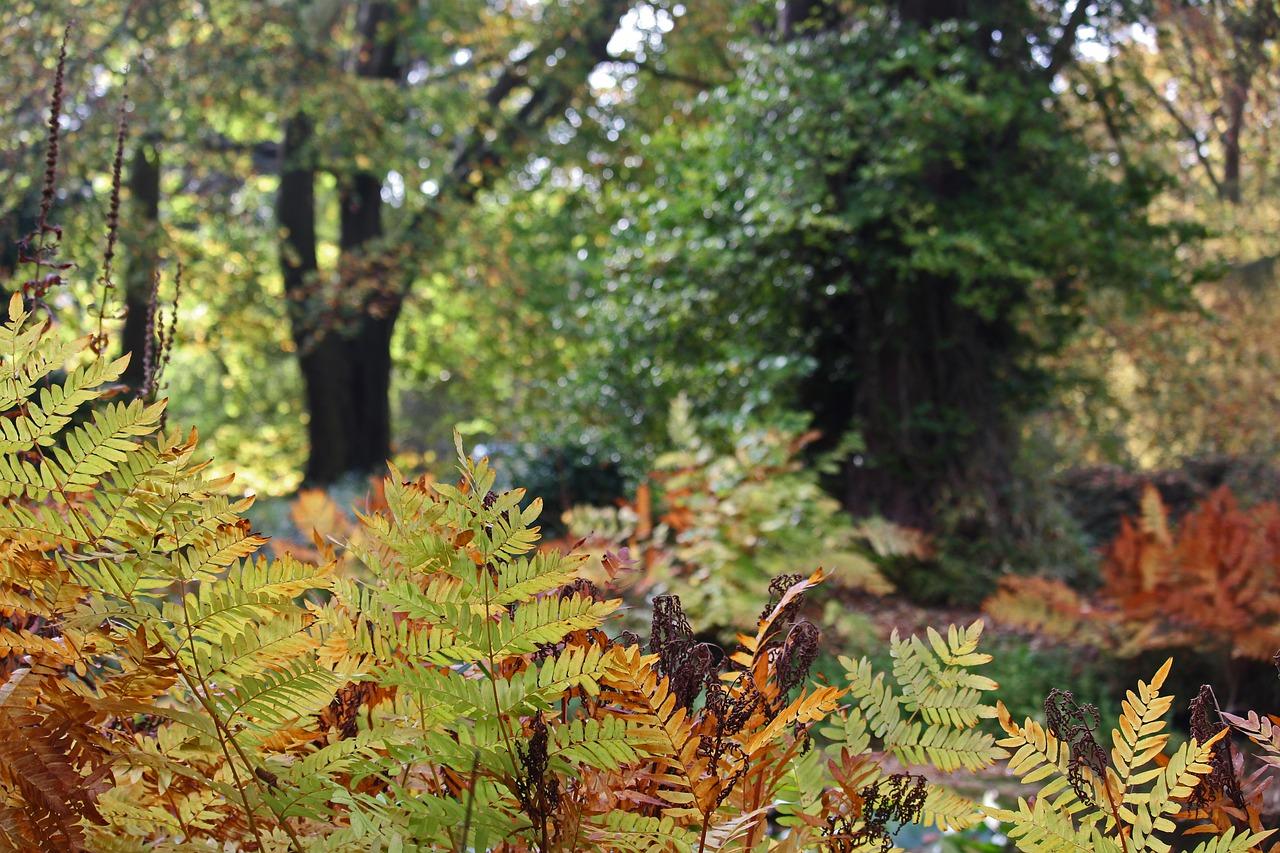 2. 大连早市地址