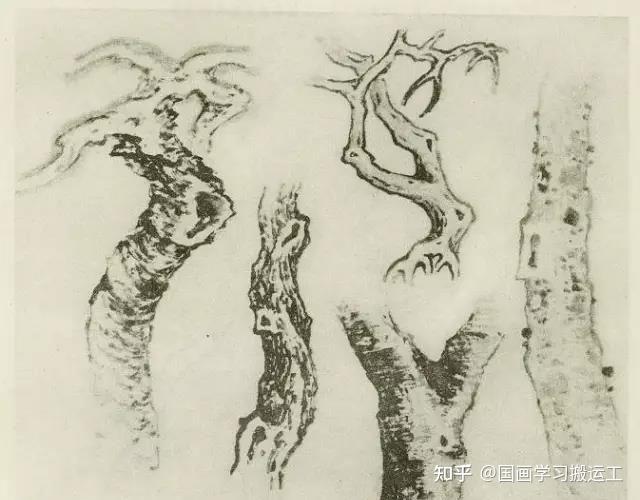 国画基础教程:树的画法（一） - 知乎