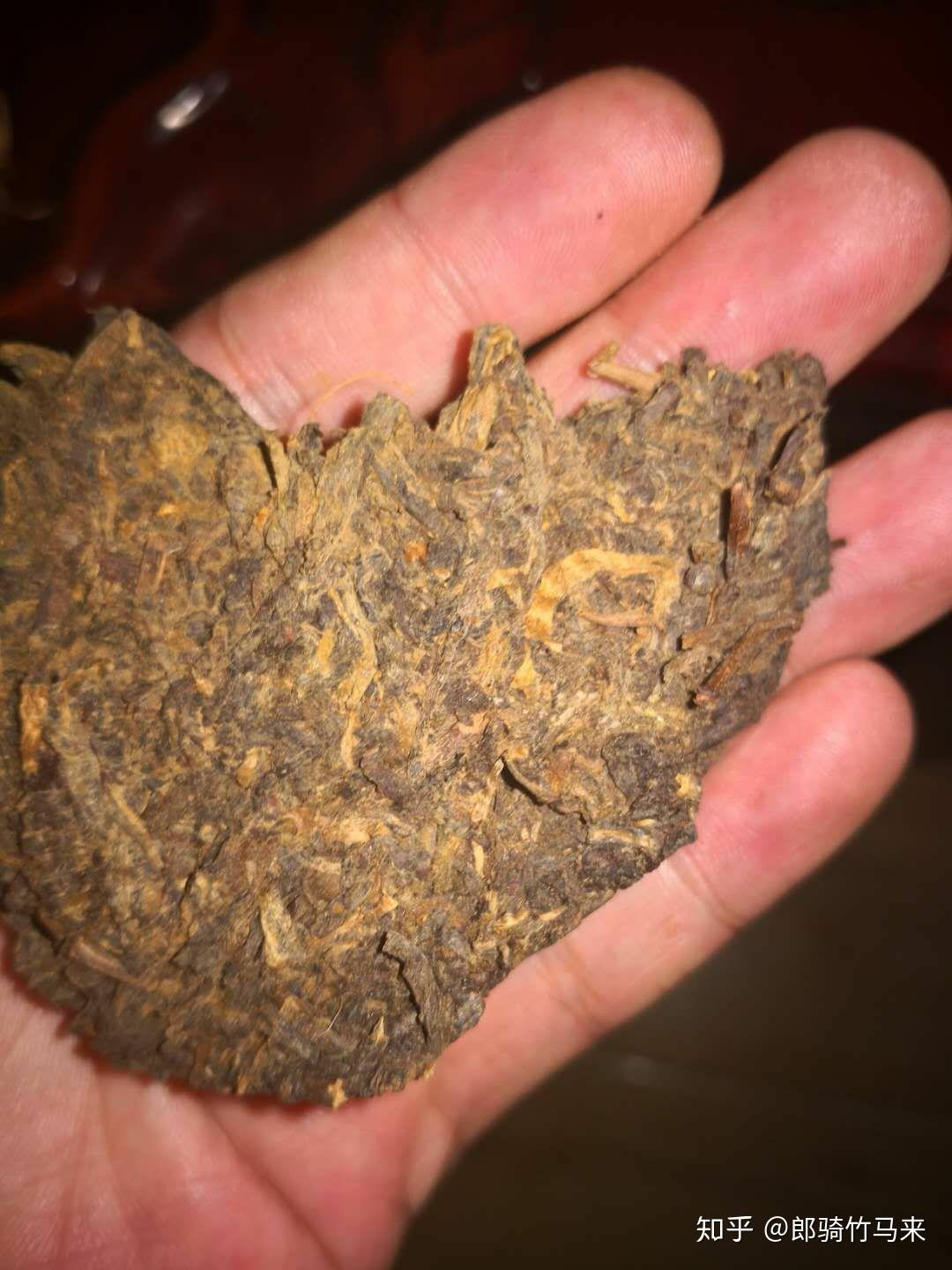 金花普洱普洱金花怎么区分是金花还是黄曲霉