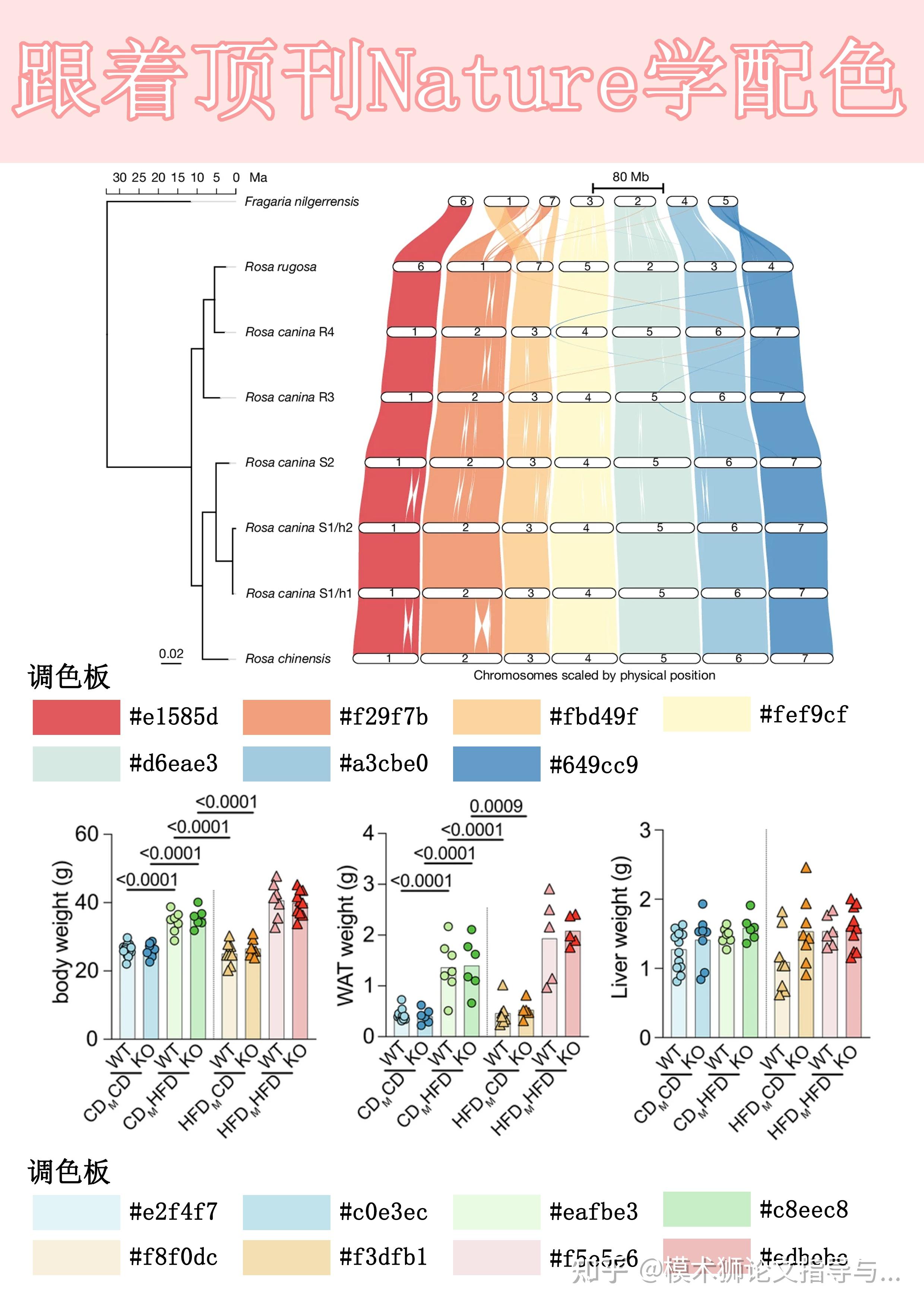 跟着顶刊学配色——Nature篇 - 知乎