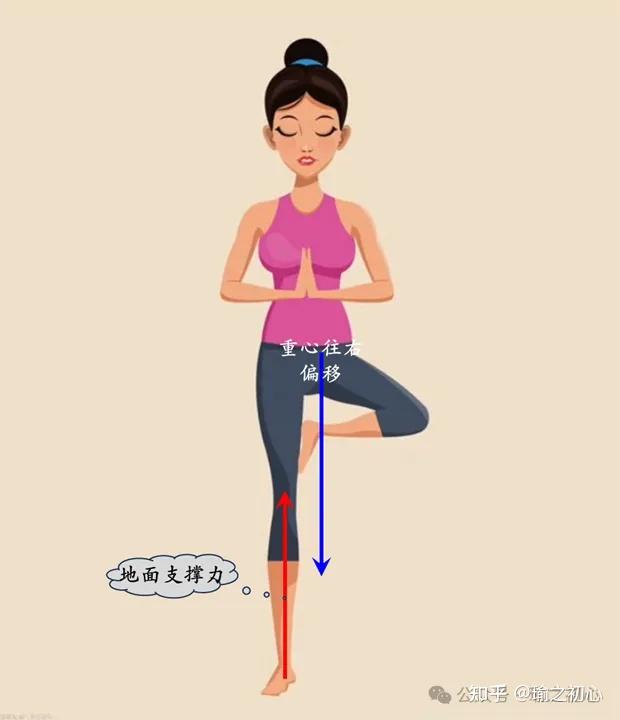 瑜伽树式的核心要领有什么？ - 知乎