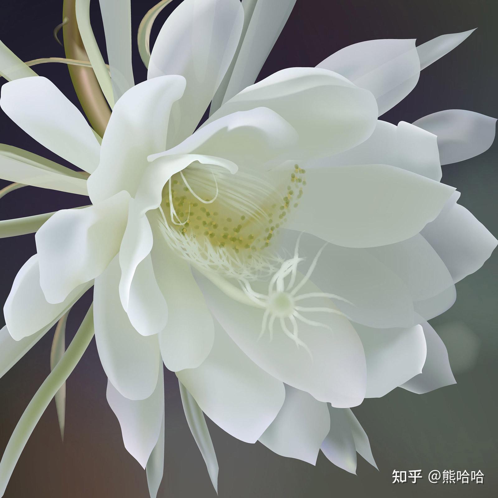 秋天盛开的十种花有哪些 - 知乎