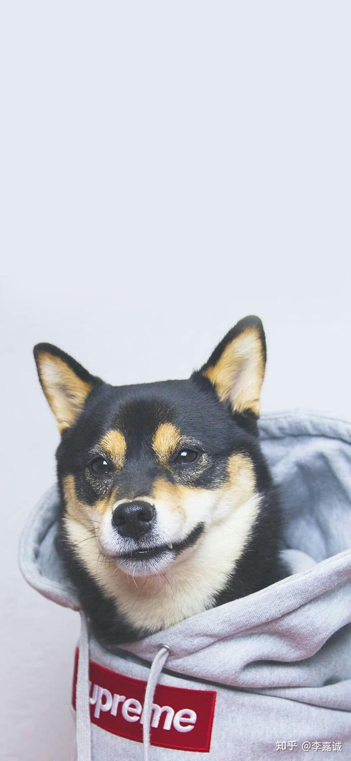 拿出你们认为最好看的iphonexsmax壁纸吧