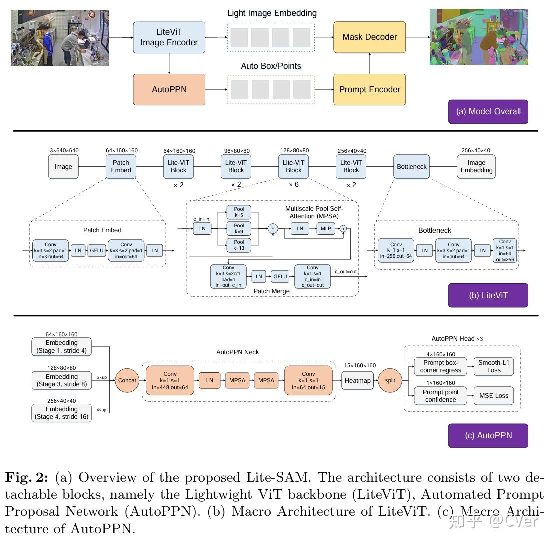 Sam Lightcap ECCV 2024 | Lite-SAM:轻量级分割一切新工作 - 知乎