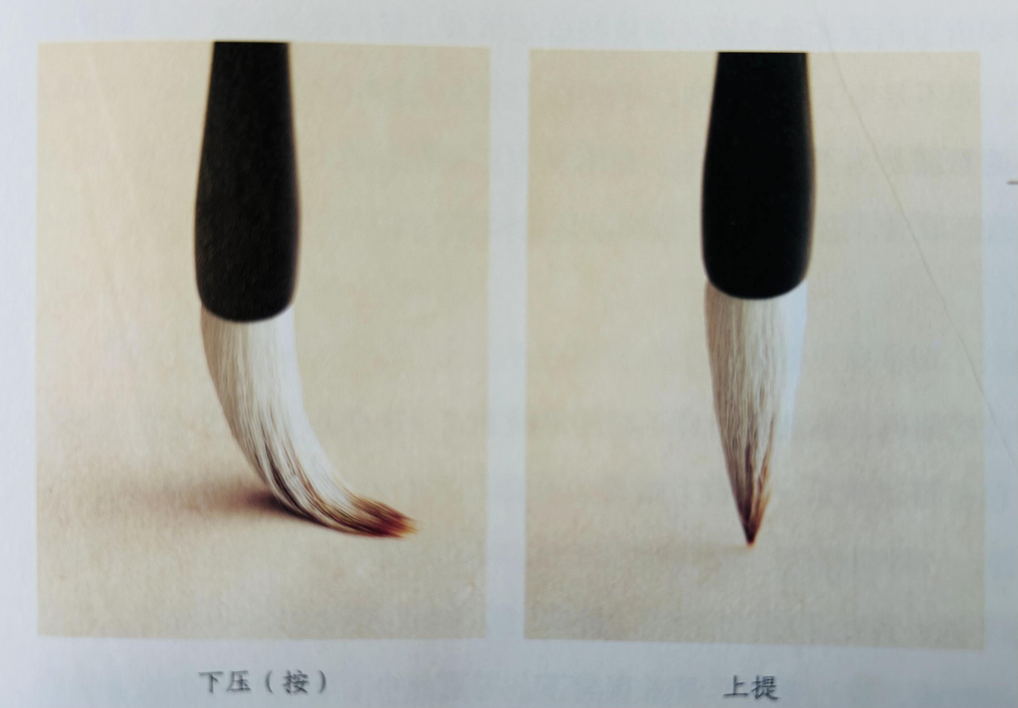 毛笔书法中的各种笔锋应该怎么用? - 知乎