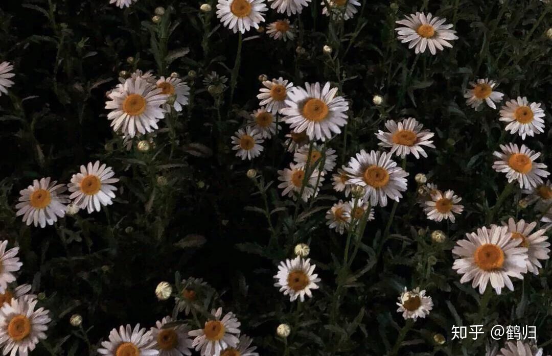 有没有好看的手机输入法背景图