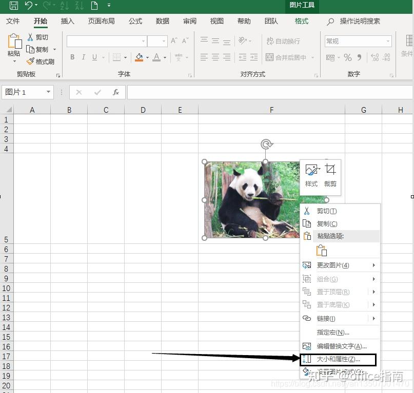 有什么 Excel 表格插入图片的小技巧? - 知乎