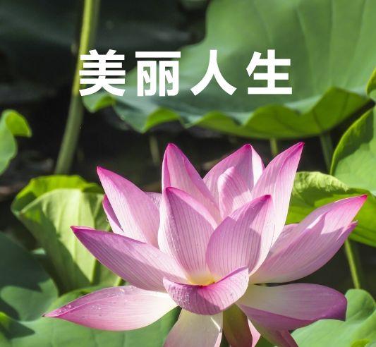 有什么可以和爸妈一起用的头像吗? - 知乎