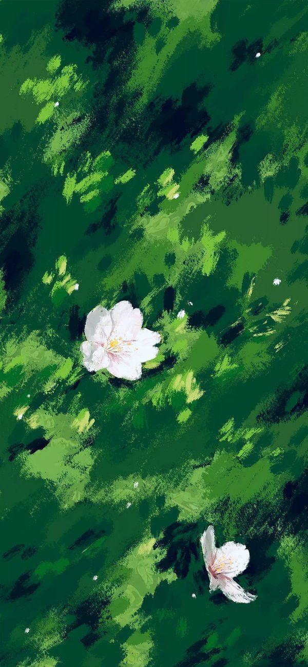 有哪些让你一眼万年的绿色系壁纸?(绿色壁纸大全图片清新自然)